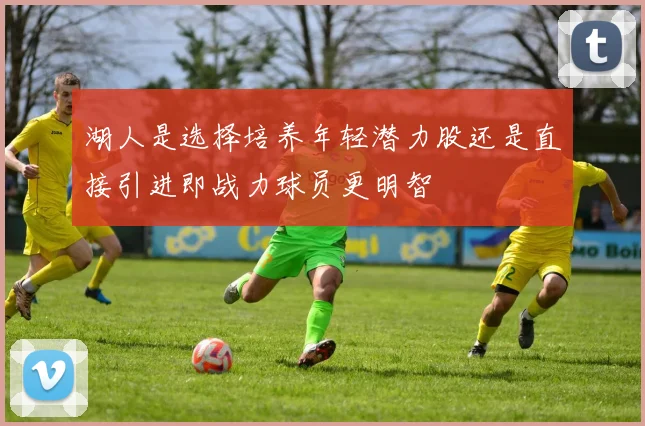 湖人是选择培养年轻潜力股还是直接引进即战力球员更明智
