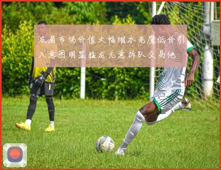 浓眉市场价值大幅缩水老鹰低价引入意图明显猛龙无意拆队交易他