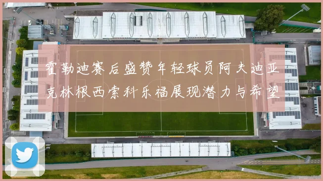 霍勒迪赛后盛赞年轻球员阿夫迪亚克林根西索科乐福展现潜力与希望