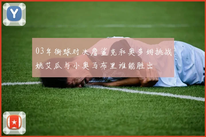 03年街球对决詹鲨克和奥多姆挑战姚艾瓜与小奥马布里谁能胜出