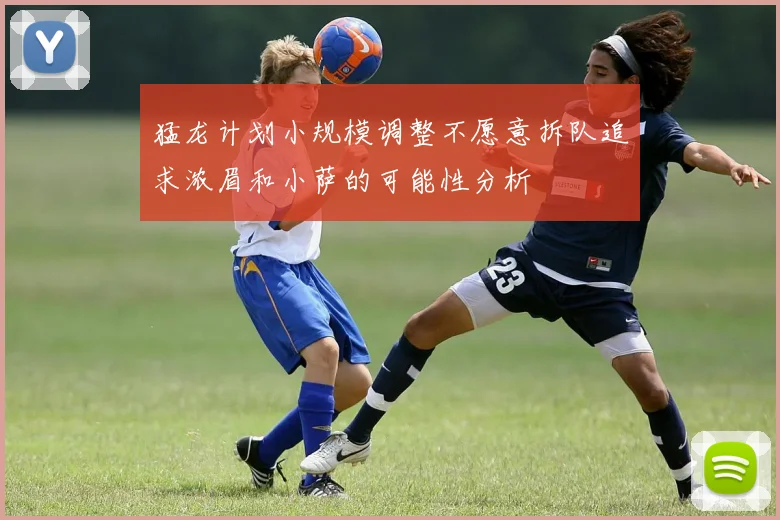 猛龙计划小规模调整不愿意拆队追求浓眉和小萨的可能性分析